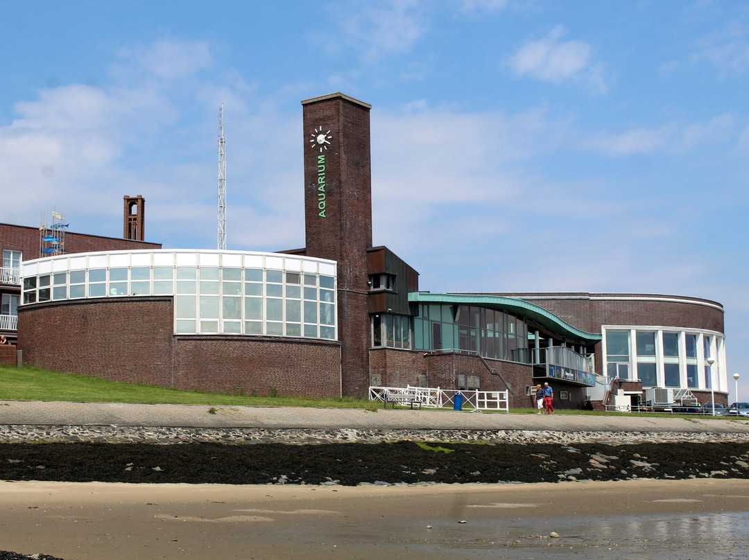 Aquarium Wilhelmshaven景点图片
