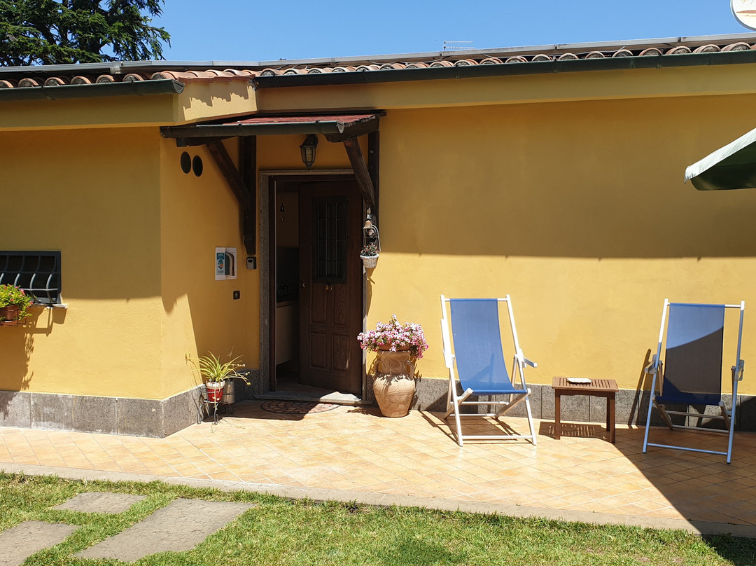 L'Antico Vigneto Guest House主图
