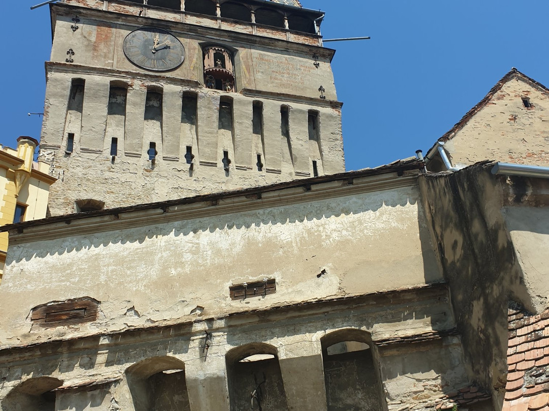 The History Museum景点图片