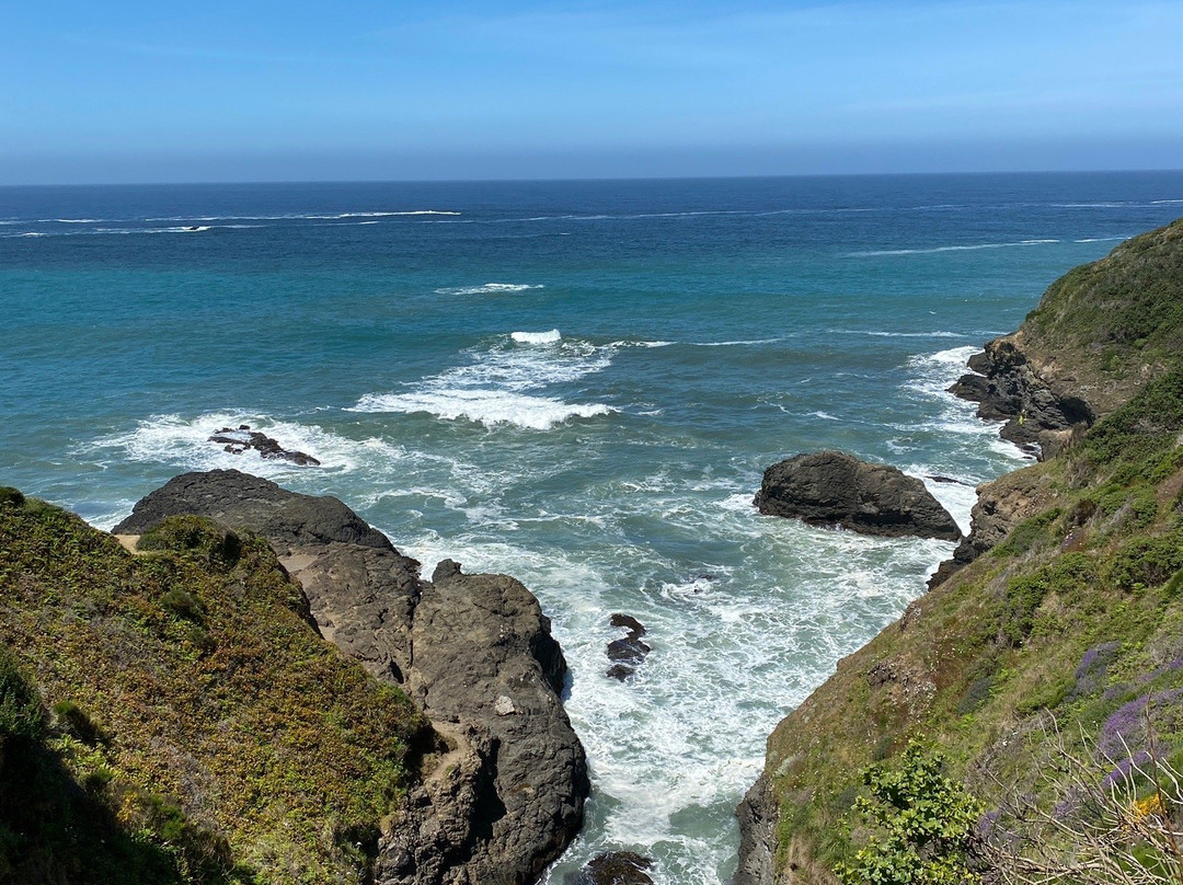 Sea Cliff Motel主图