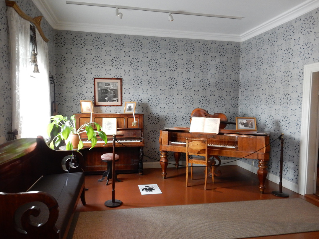 Birthplace of Jean Sibelius-海门林纳必去景点