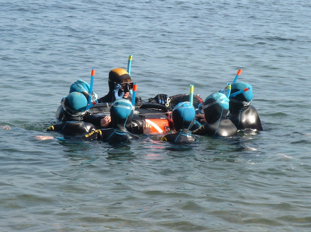 Atelier Bleu CPIE-拉西奥塔必去景点