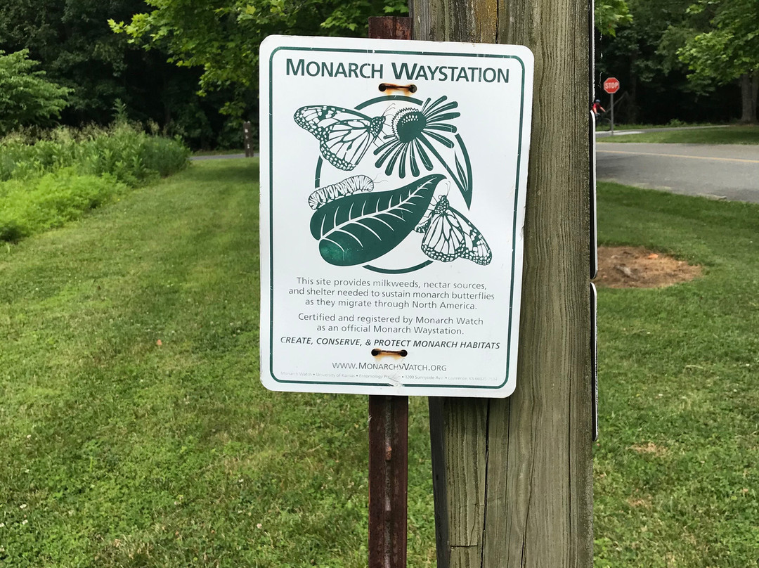 Black Hill Regional Park-Boyds必去景点