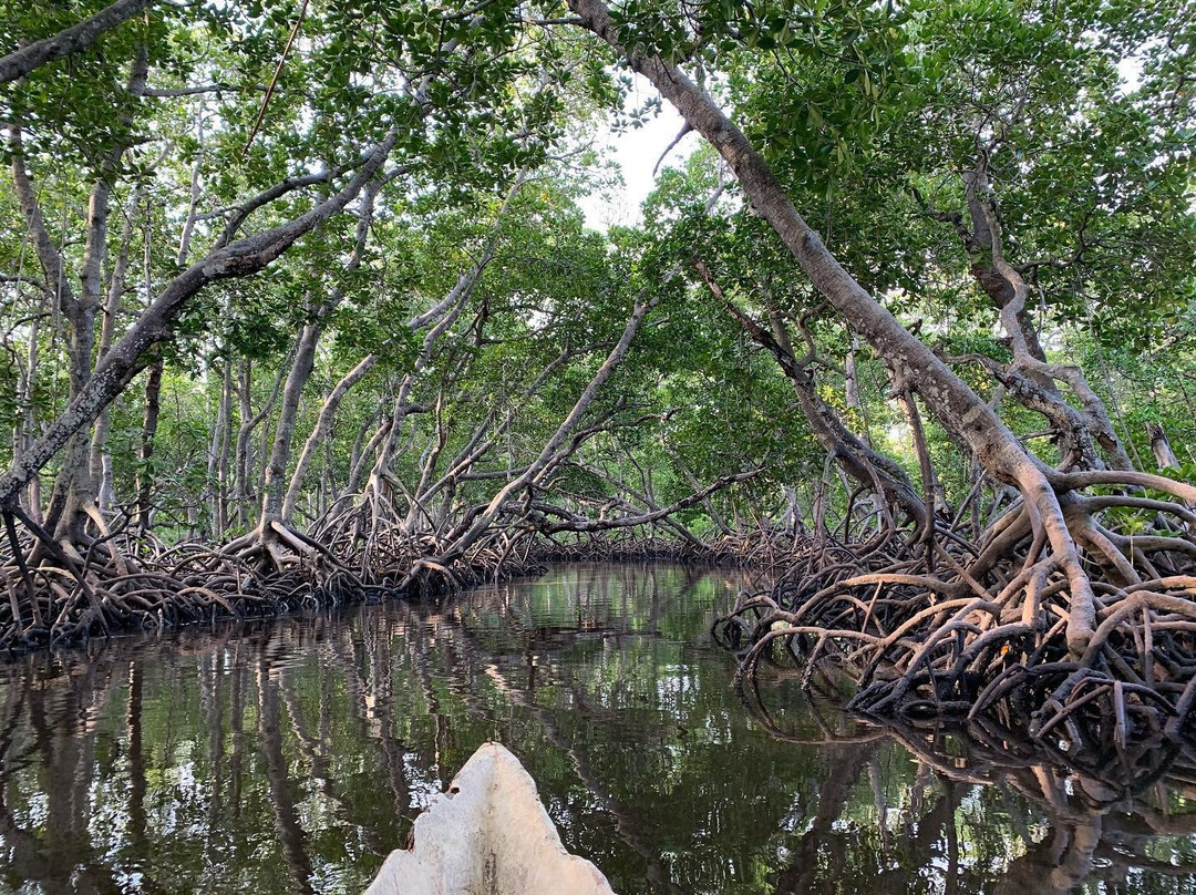 Kenya Tour Safari-瓦塔木必去景点