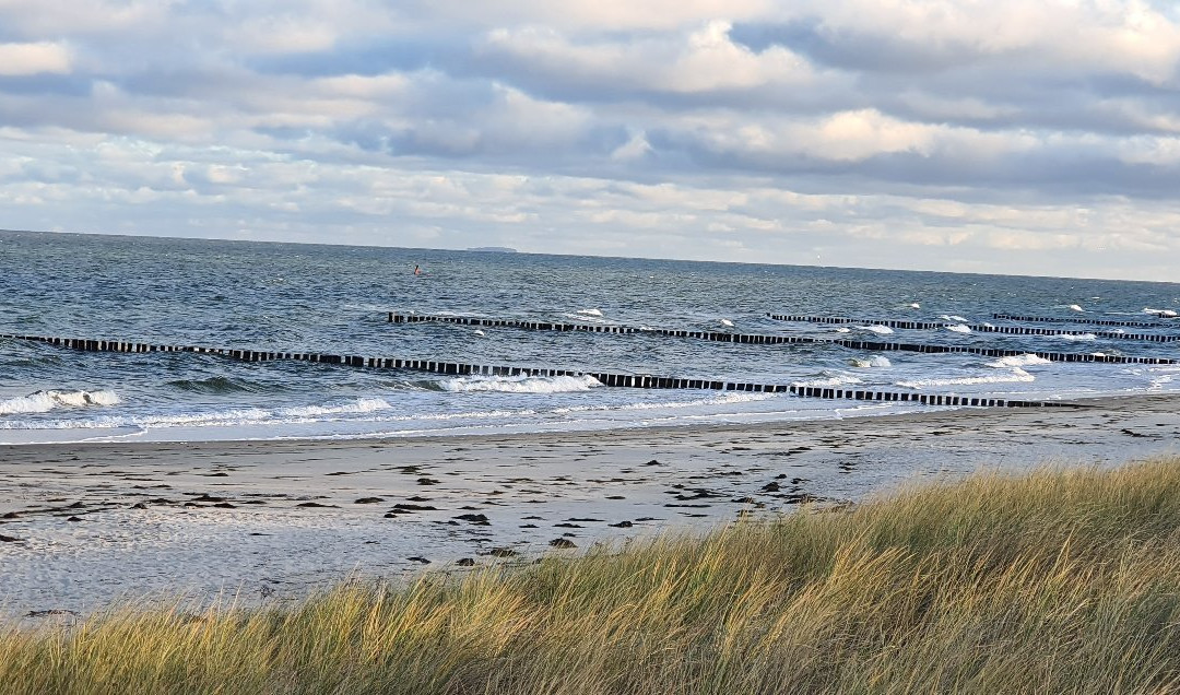 Seebrucke Zingst景点图片