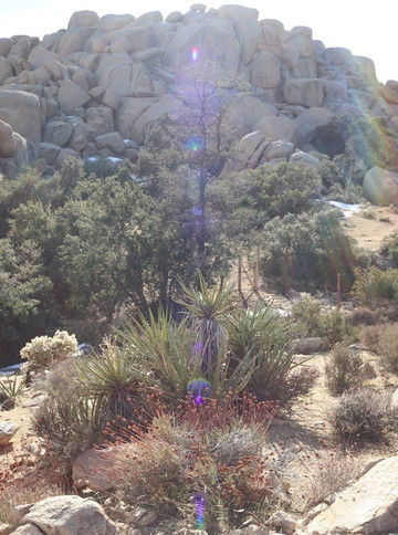 God's Way Love,Pioneertown