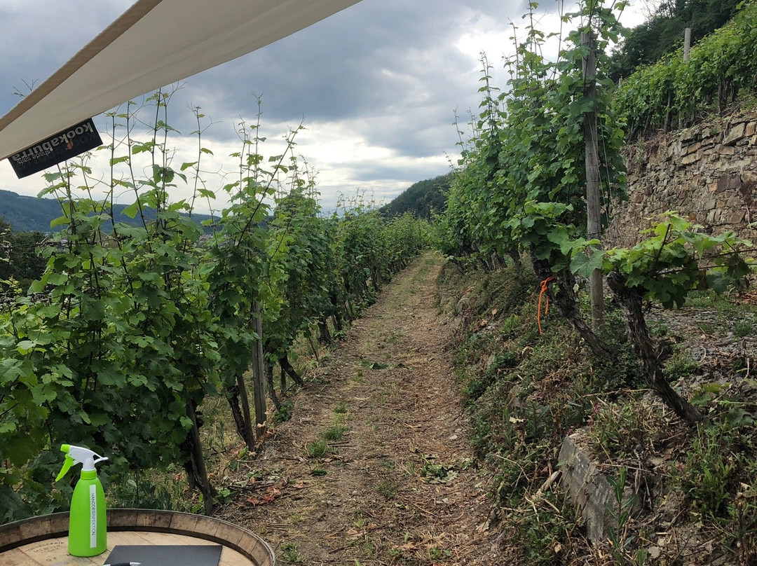 Weingut Schwaab-科布伦茨必去景点