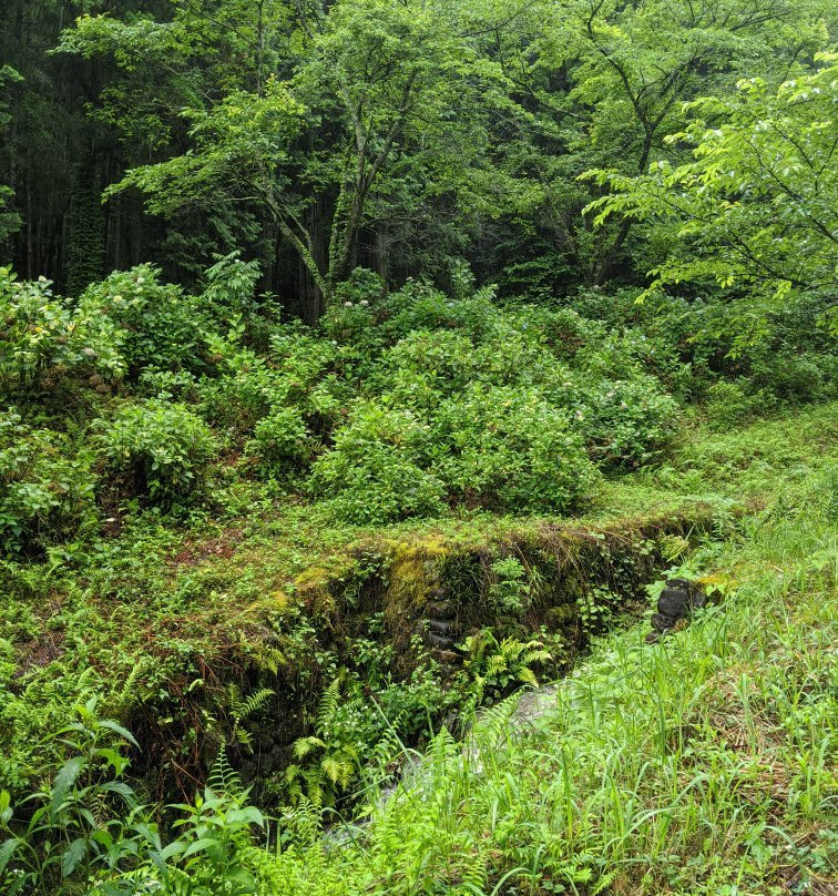 Jyoshitani Park (Ajisai Park)景点图片