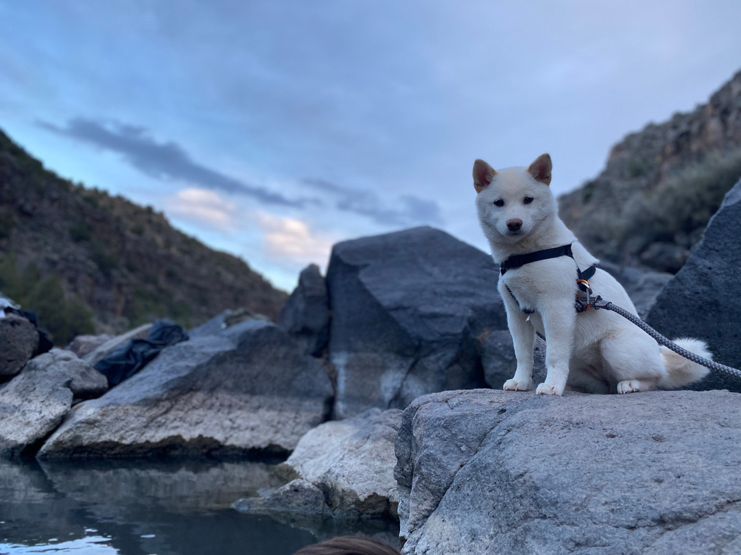 Black Rock Hot Springs-Arroyo Hondo必去景点