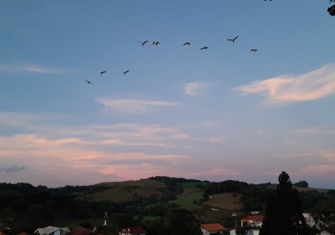 Hotel 13 Linden主图