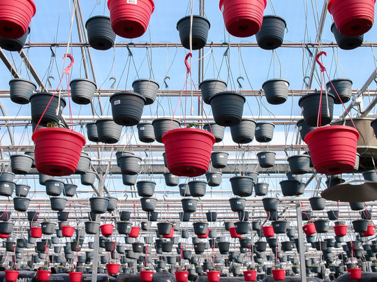 Floral Acres Greenhouse-萨斯卡通必去景点