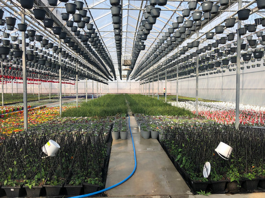 Floral Acres Greenhouse-萨斯卡通必去景点