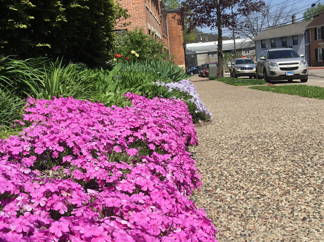 Brierwreath Manor Bed and Breakfast主图