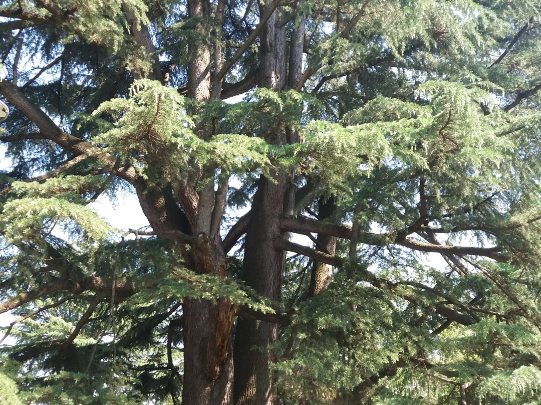 Parco di Rovellasca景点图片
