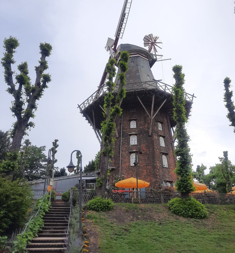 Mühle am Wall景点图片