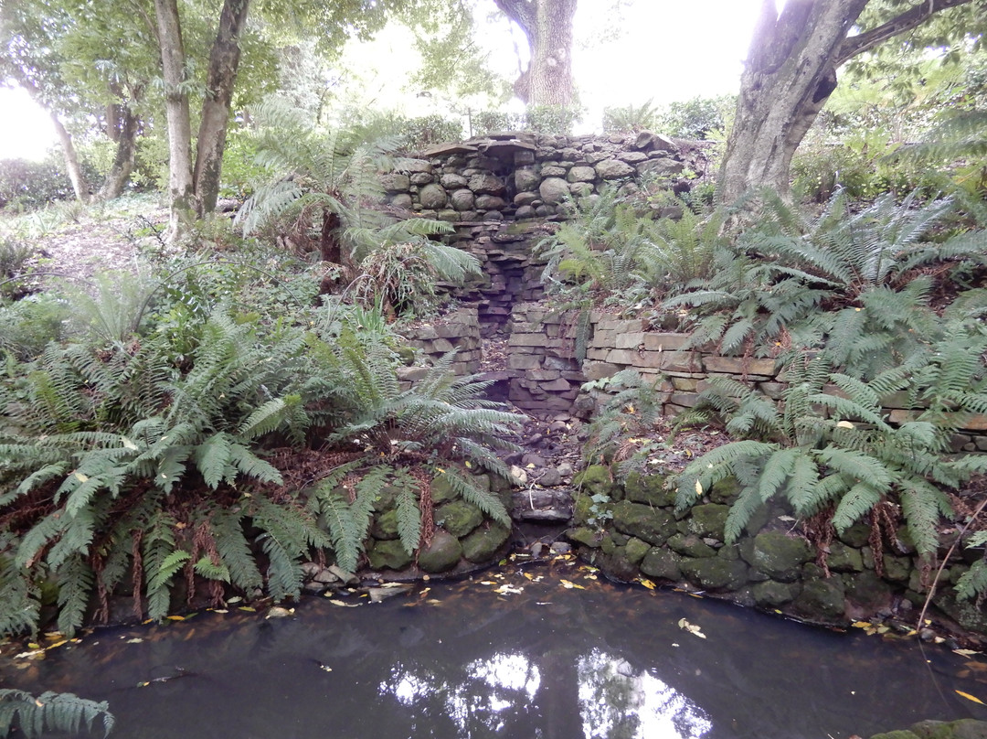 Wombat Hill Botanical Gardens-戴尔斯福特必去景点