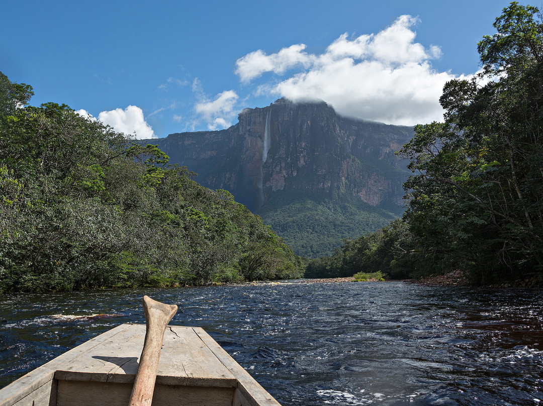 Canaima Expeditions & Tours景点图片