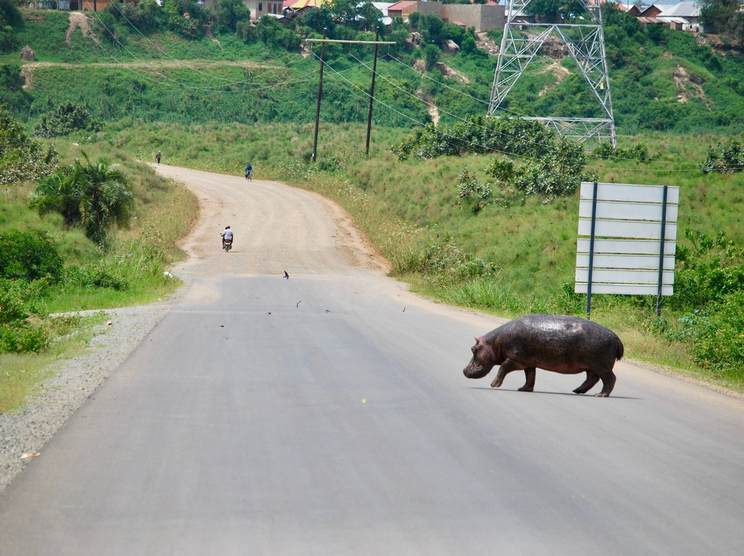 Golden Trekkers-Ruhengeri必去景点