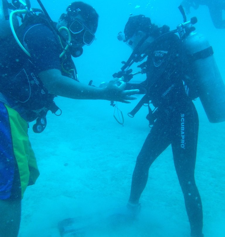 Spindrift Reefs Dive Center - Day Dive景点图片