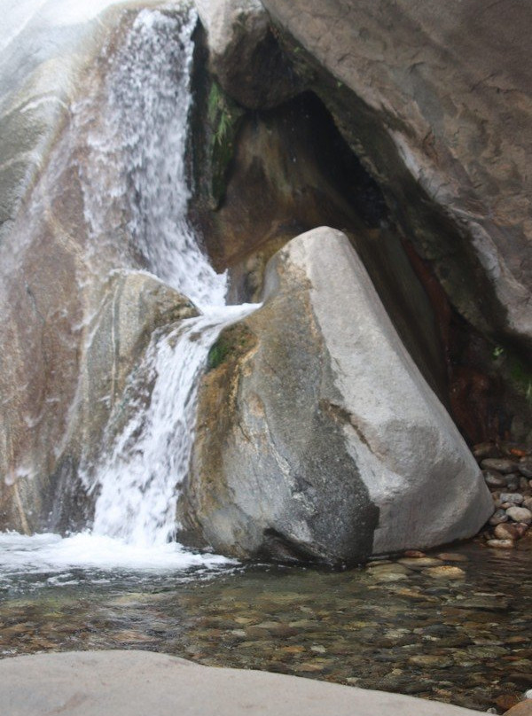 Indian Canyons Hiking Trails-棕榈泉市必去景点