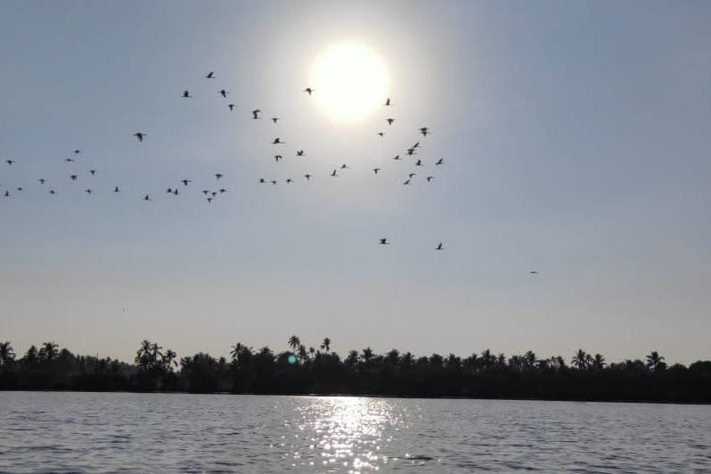 Tropiq Getaways LLP-Kothad必去景点