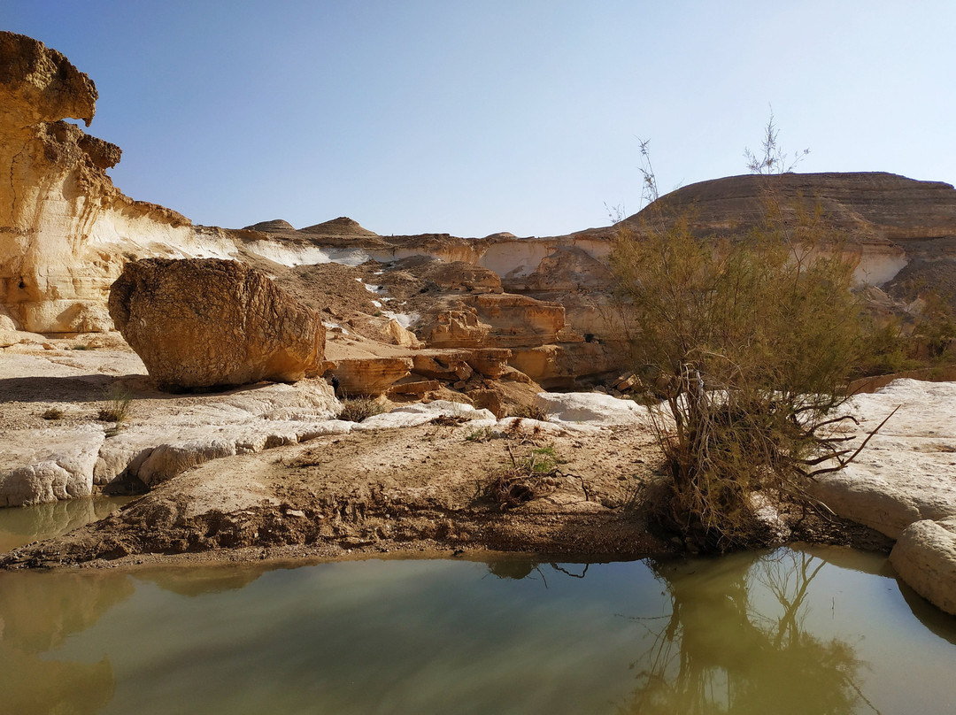 Israel Desert tours by Adam Sela-Midreshet Ben-Gurion必去景点