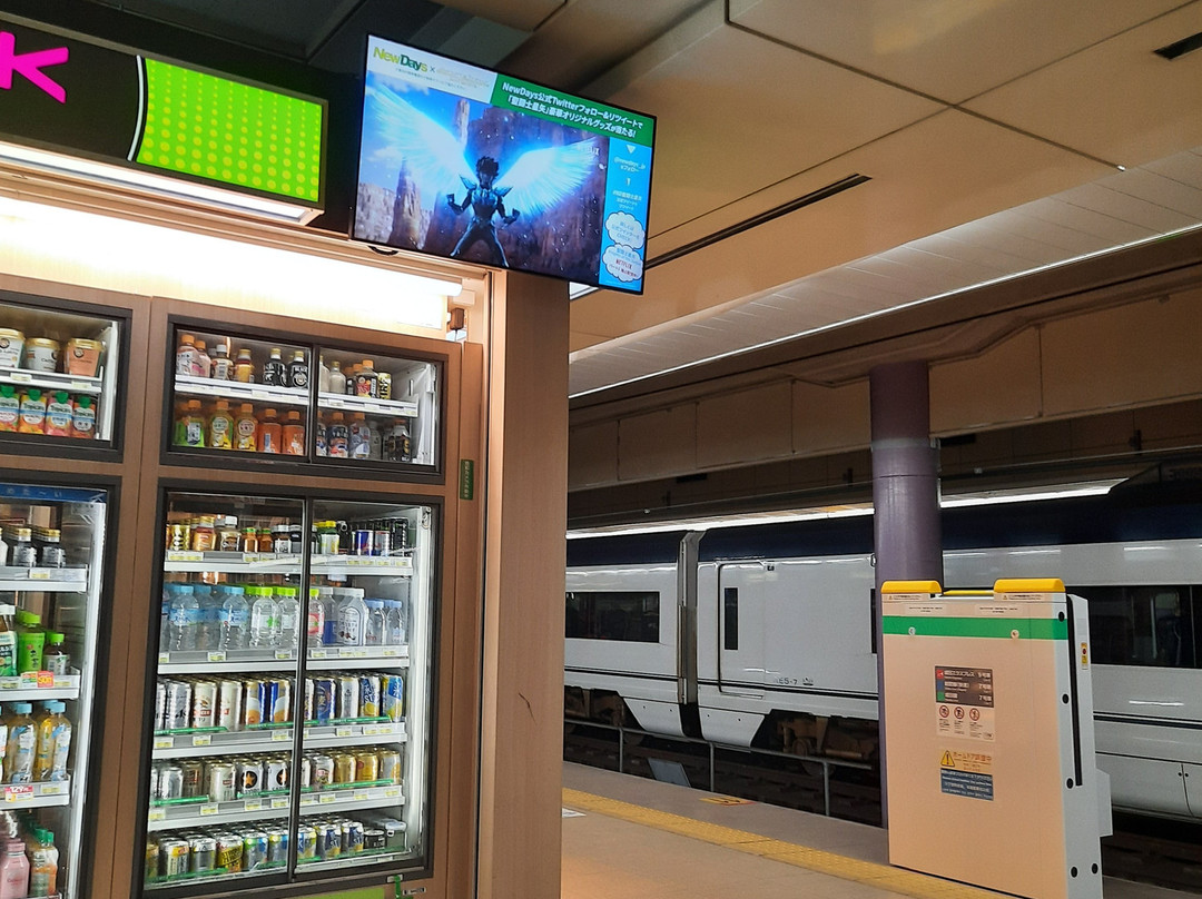 Narita Express (NEX)-成田市必去景点