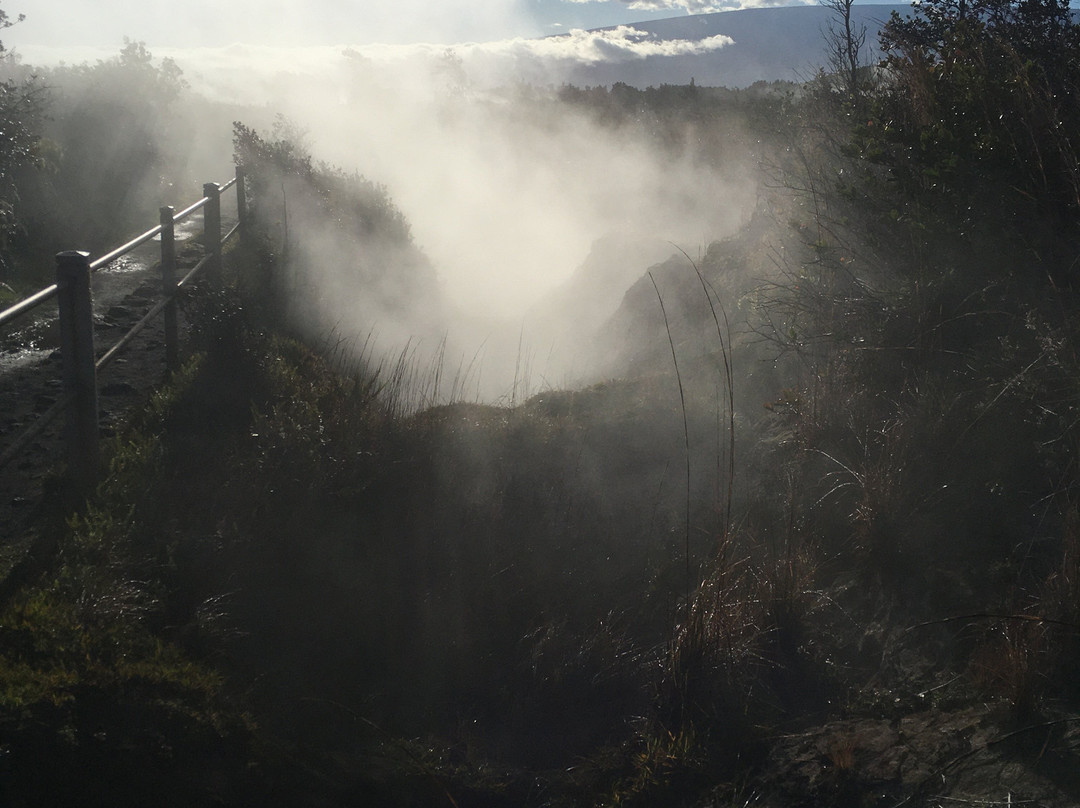 Sulphur Banks-夏威夷火山国家公园必去景点