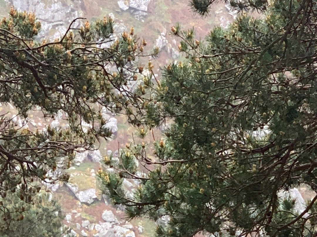 The Scalp-Enniskerry必去景点