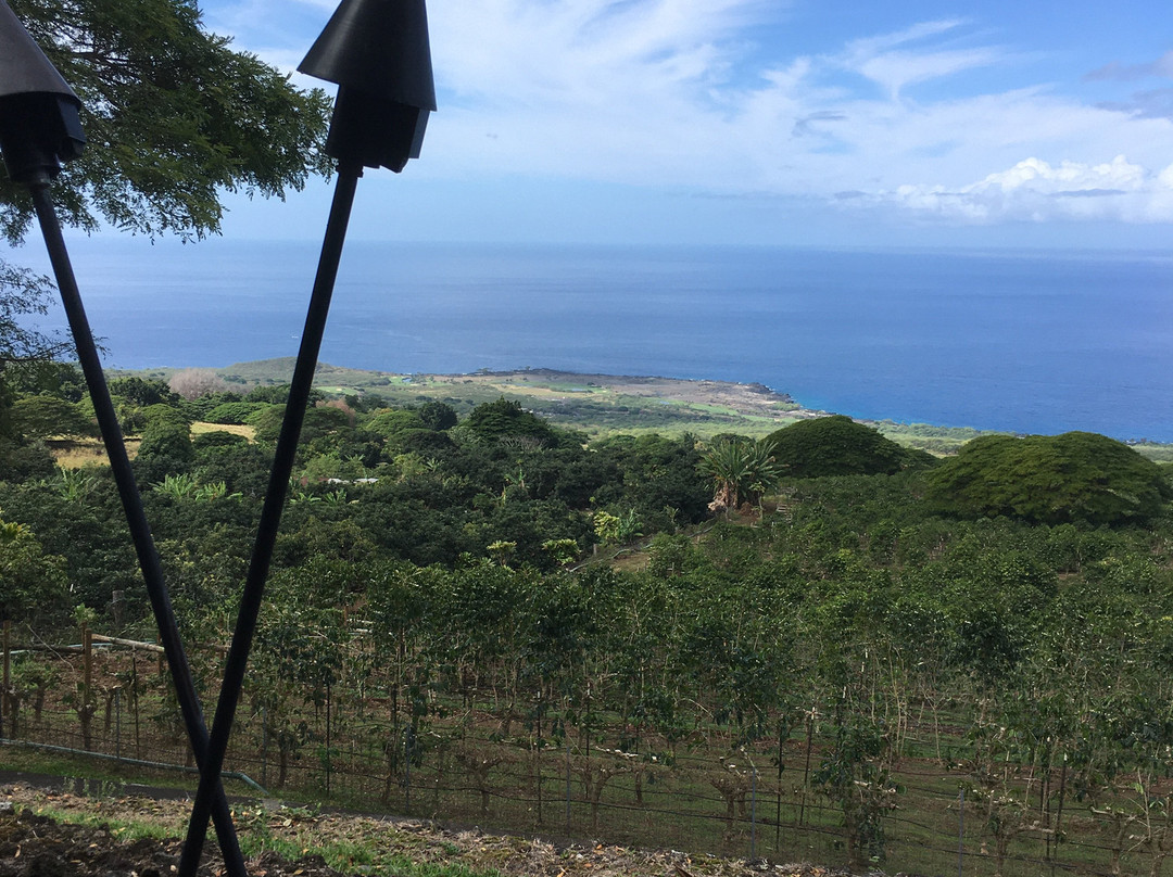 科纳杰咖啡-基亚拉凯库亚必去景点