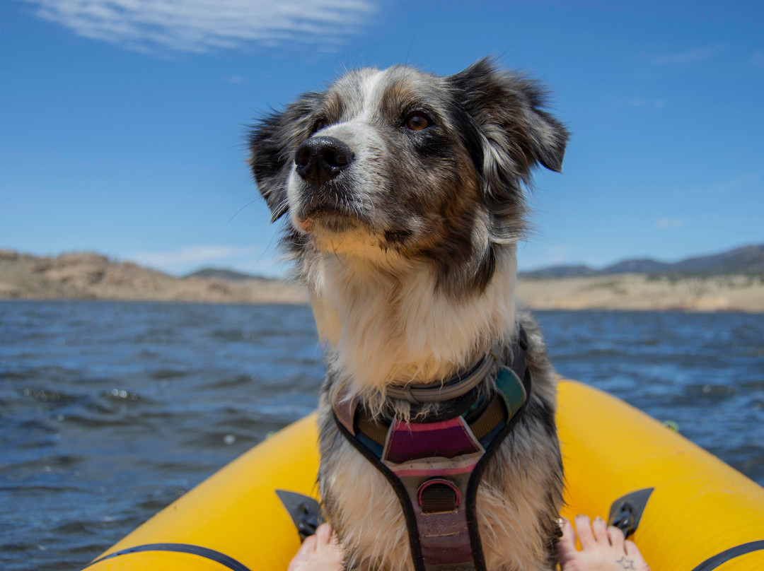 Alpine Rental Team-Bailey必去景点