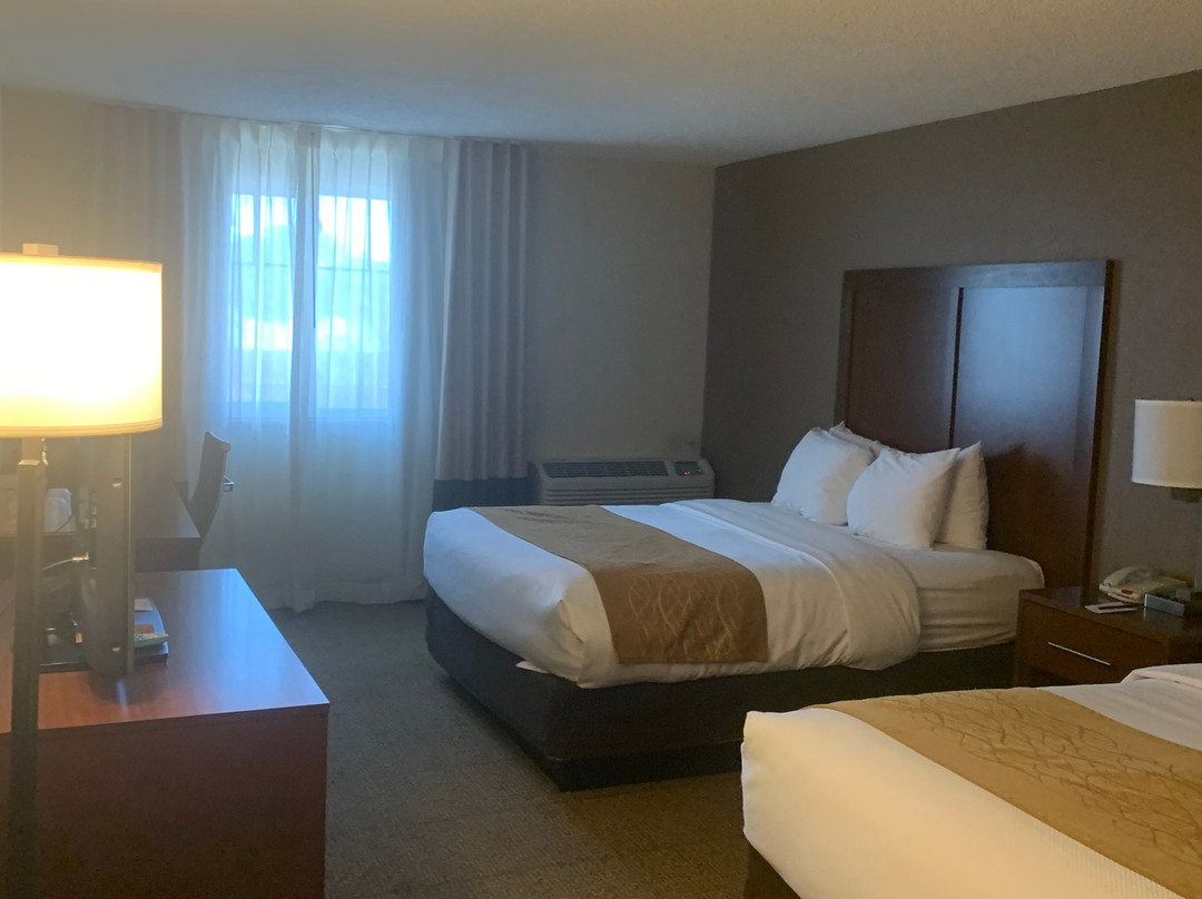 Comfort Inn Santa Rosa On Route 66主图