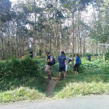 Kalibendo Eco Tourism-巴纽旺宣必去景点