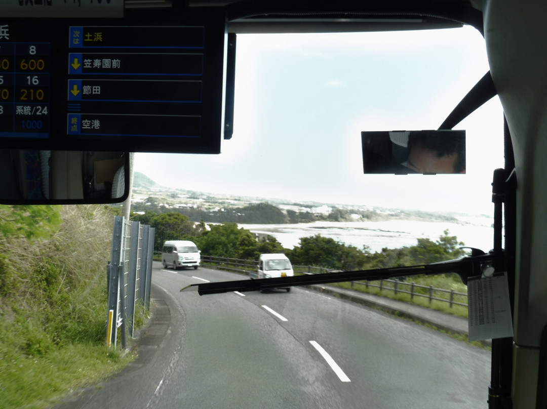 Shima Bus-奄美市必去景点