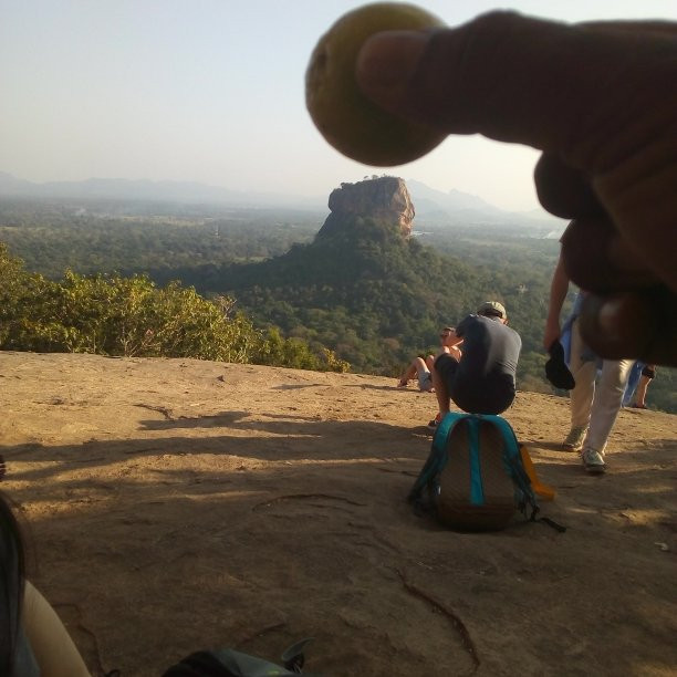 Toursrilankawb-埃勒必去景点