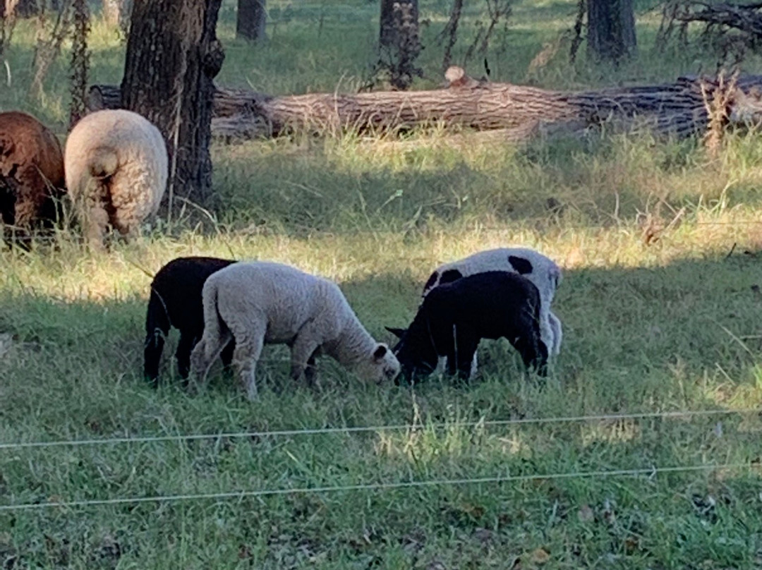 Estancia La Cinacina主图