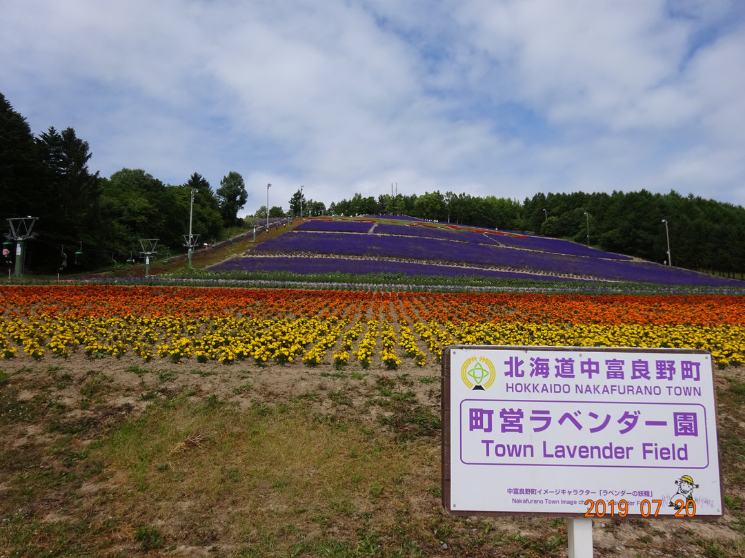 富良野町营薰衣草园-中富良野町必去景点