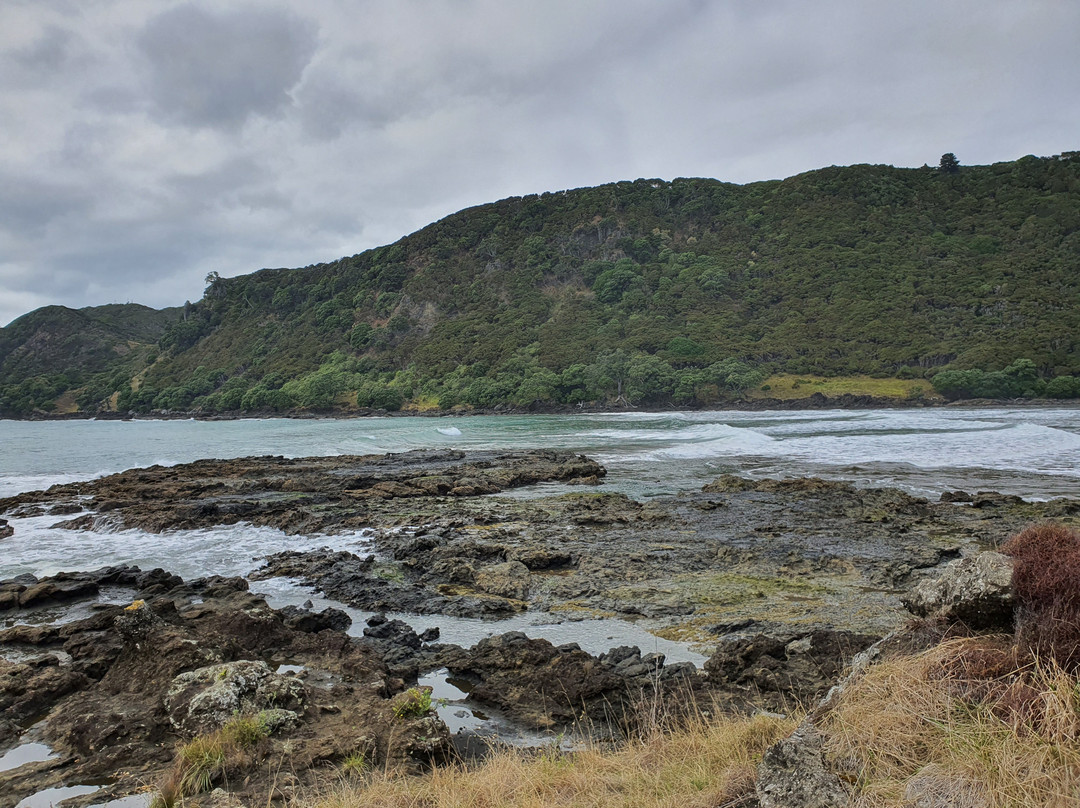 Hicks Bay Motel Lodge主图