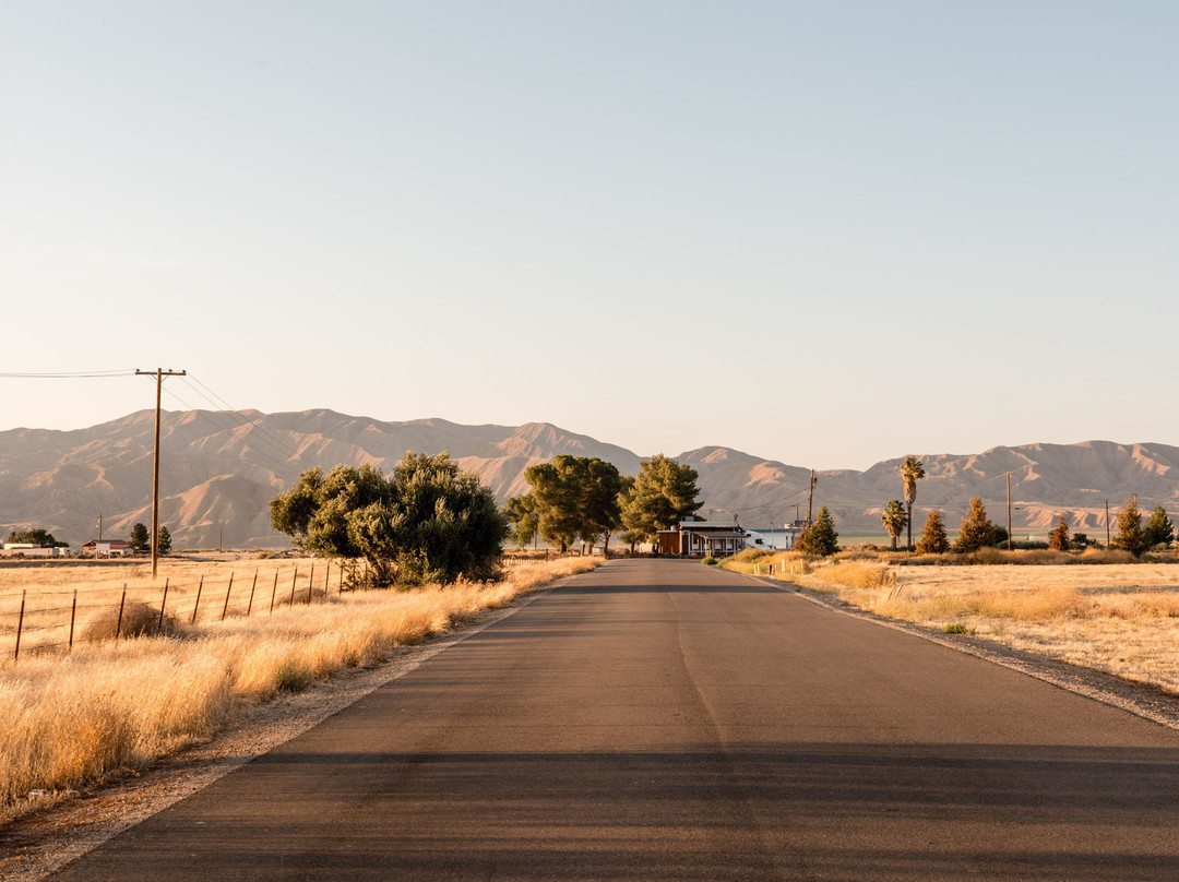 Cuyama Valley-New Cuyama必去景点