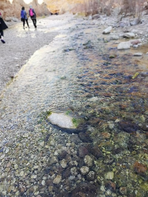 Morteza Ali Canyon-Tabas必去景点