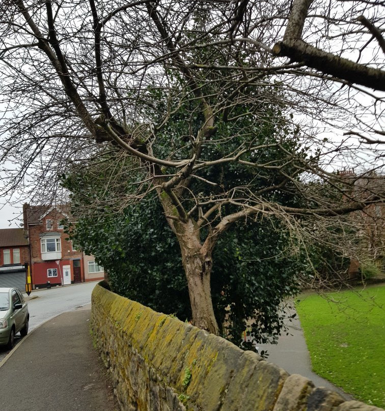 Quarry Recreation Ground