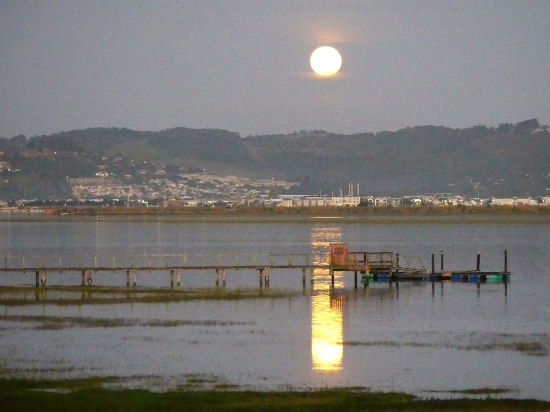 Oyster Creek Lodge主图