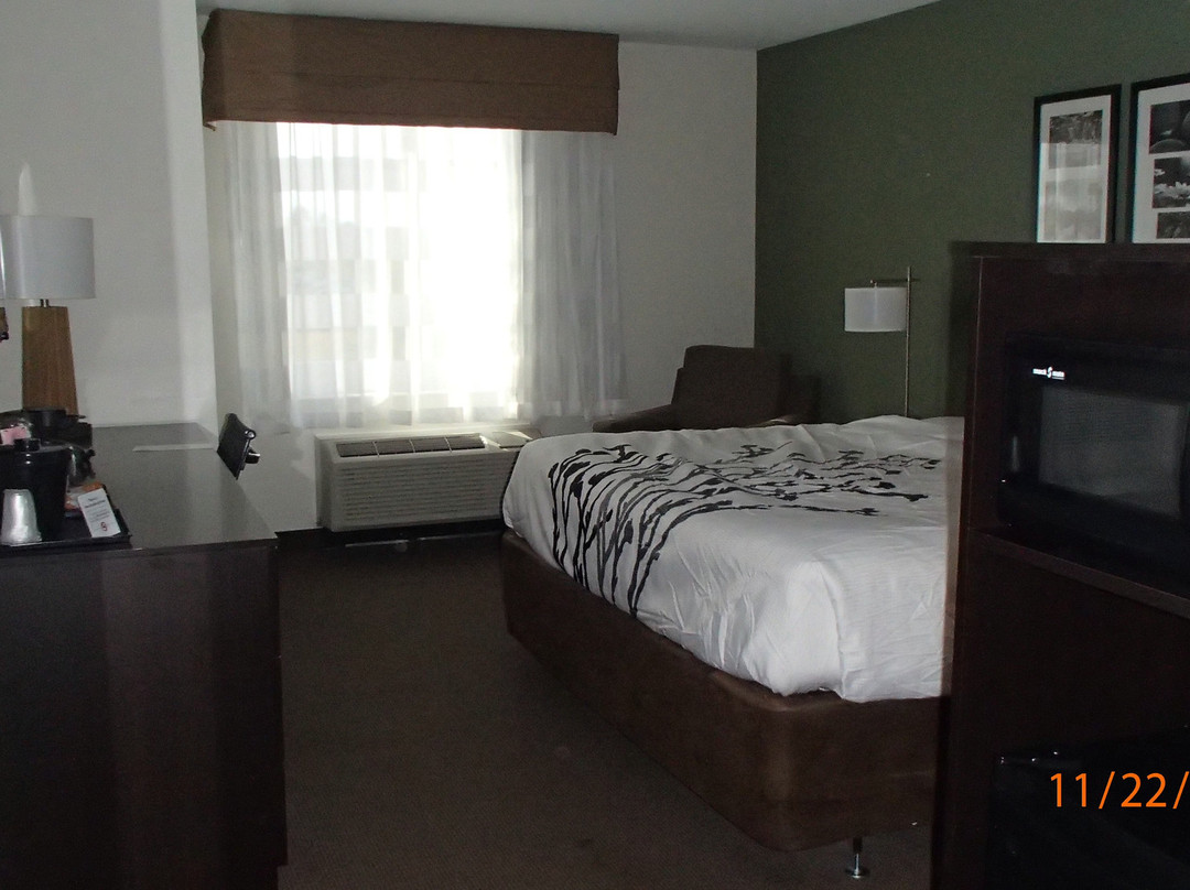 Sleep Inn & Suites Defuniak Springs - Crestview主图