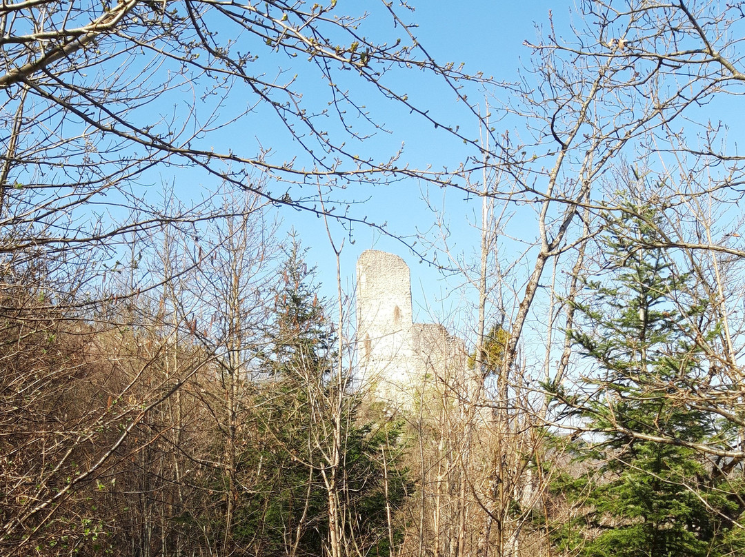 Chateau de Vorbourg景点图片