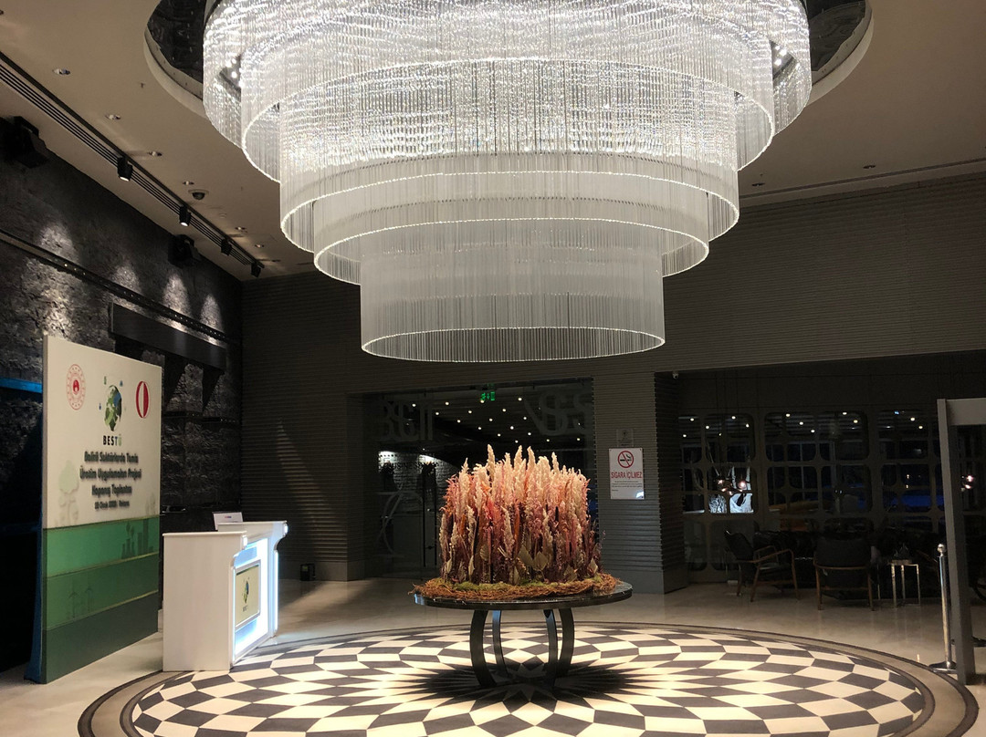 Wyndham Ankara主图