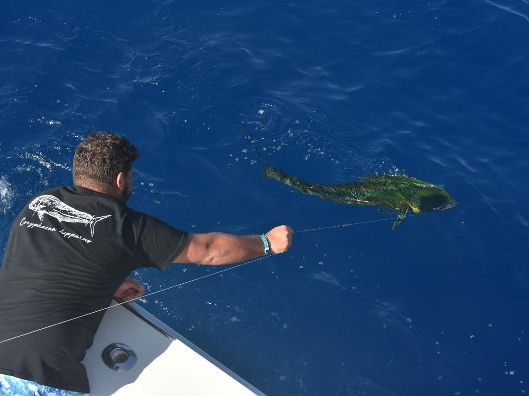 Mahi Sportfishing Puglia景点图片