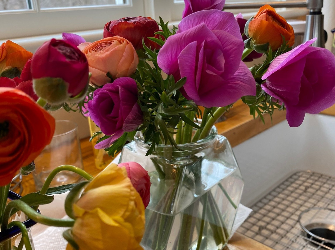 Battenfeld Anemone & Christmas Tree Farm-Red Hook必去景点