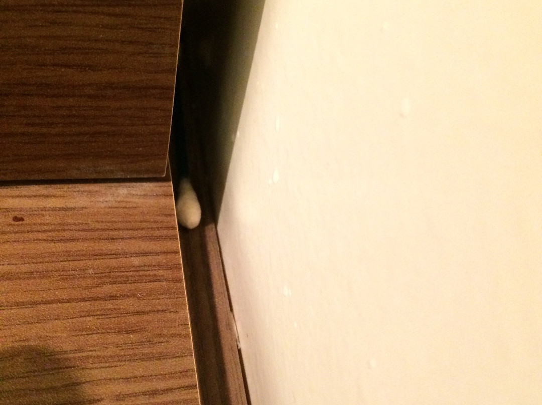 Parador Estaleiro Hotel主图