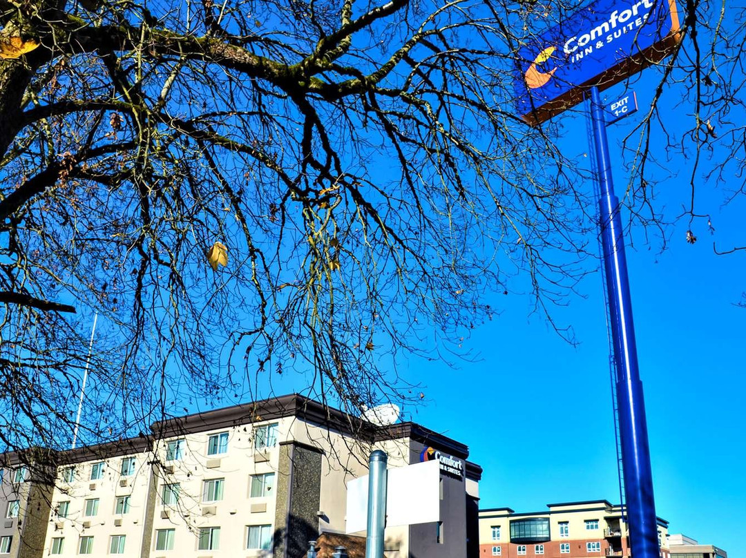 温哥华康福特茵旅馆&套房酒店主图