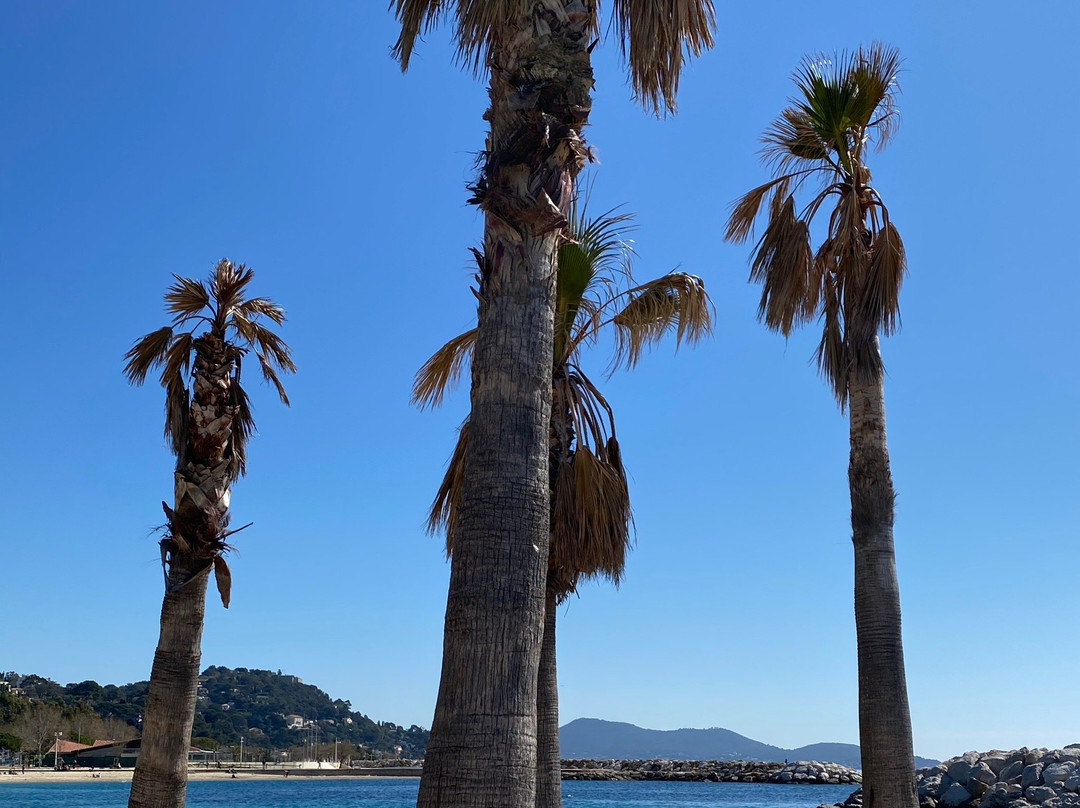 Plages du Mourillon-土伦必去景点